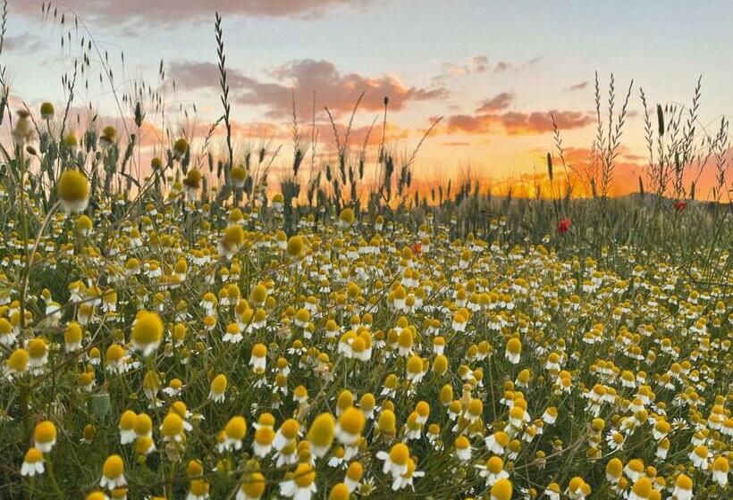 مبيت وإفطار La Casa Degli Artisti