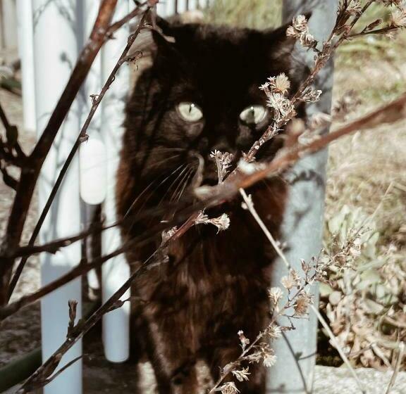 مبيت وإفطار La Casa Degli Artisti