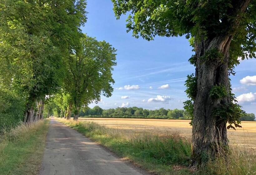 צימר La Cour Des Délices