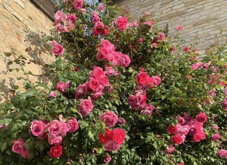 צימר La Cour Des Délices