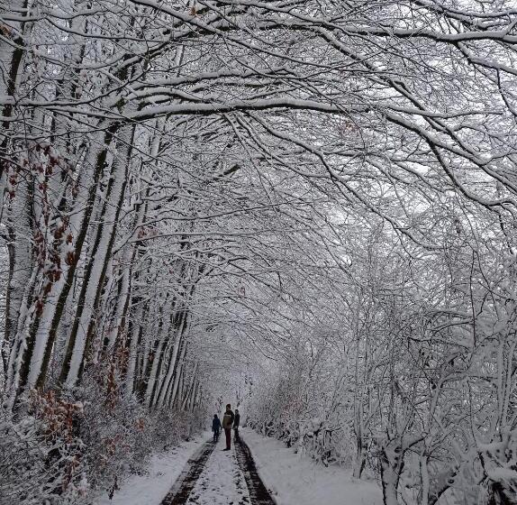 민박 Les Ecureuils