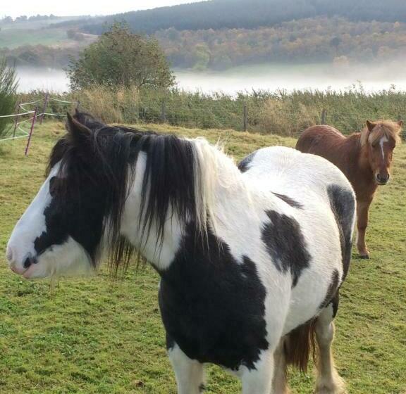 ベッドアンドブレックファースト Bowtop Wagon At Lettoch Farm