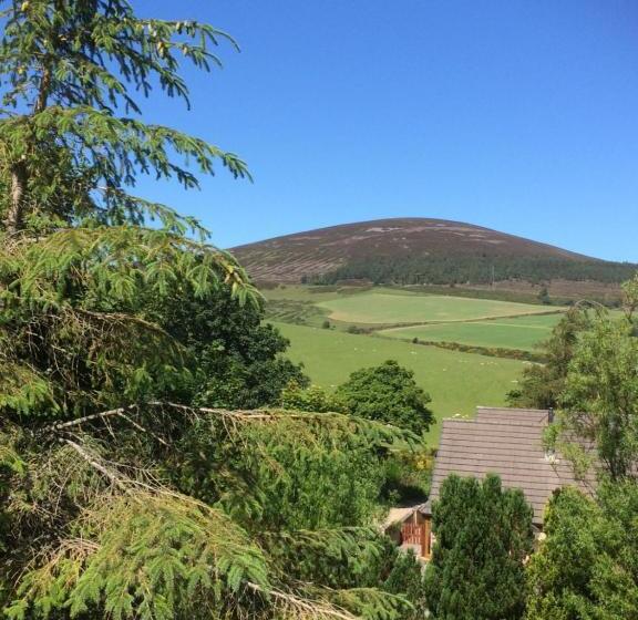 ベッドアンドブレックファースト Bowtop Wagon At Lettoch Farm
