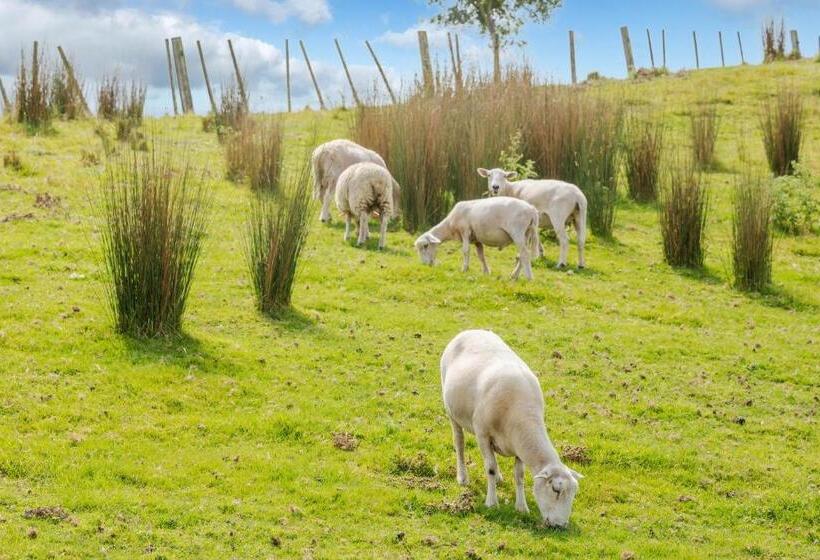 צימר Nadarra Hideaway