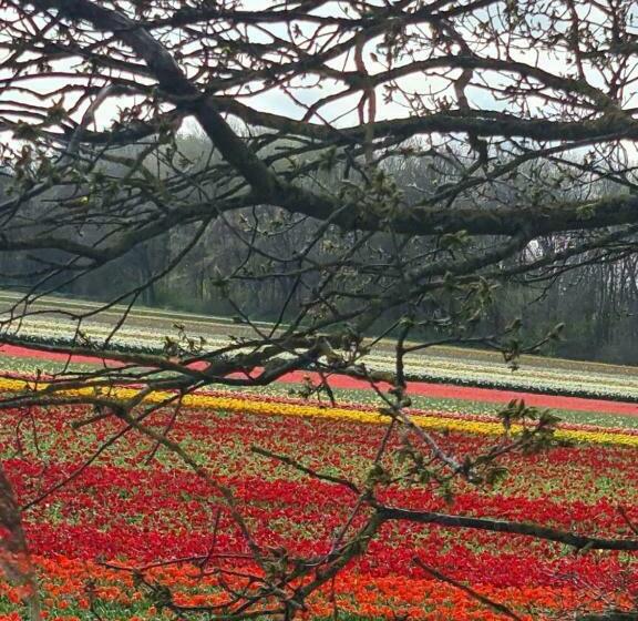 مبيت وإفطار Tamar 2