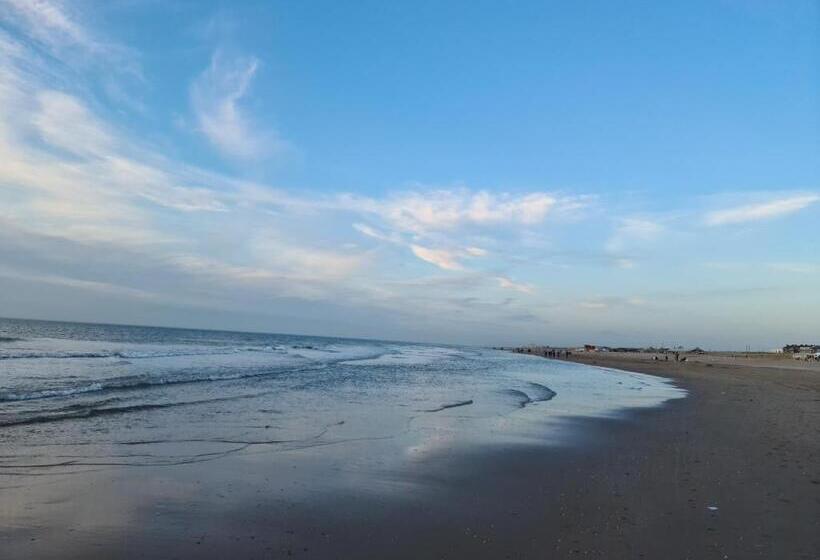 مبيت وإفطار Tamar 2