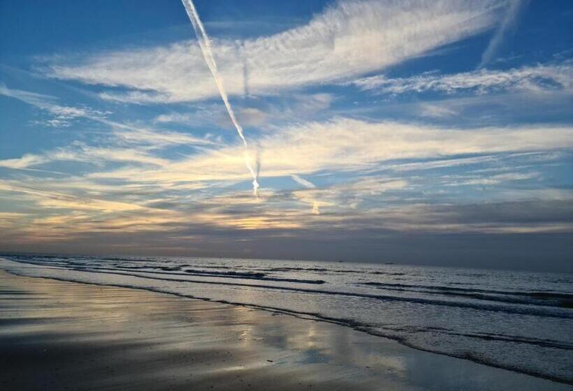 مبيت وإفطار Tamar 2