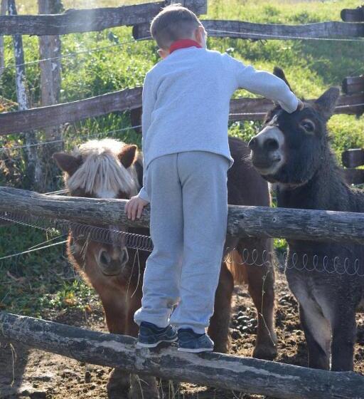 مبيت وإفطار Tenuta I Musi Lunghi