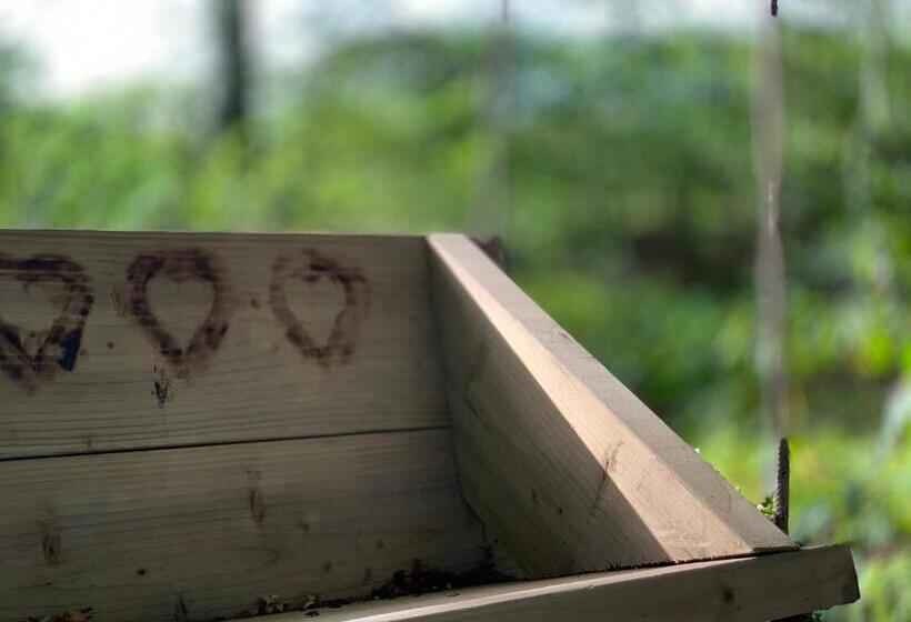 צימר The Ghillie