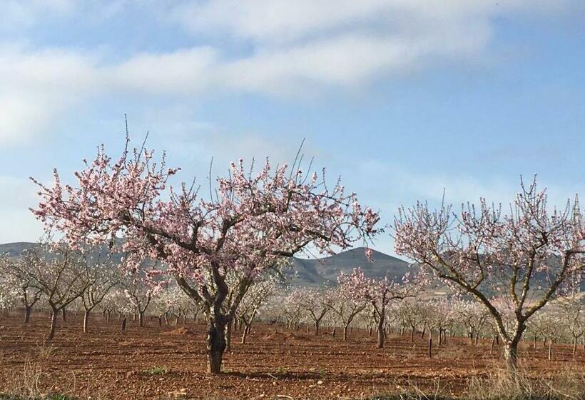 민박 Torre De La Campana