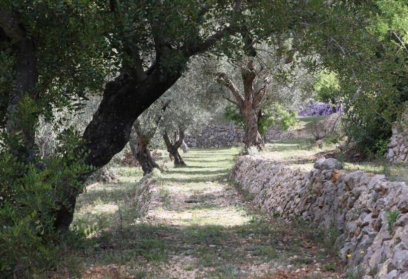 צימר Villa Foia Vella   Adults Only