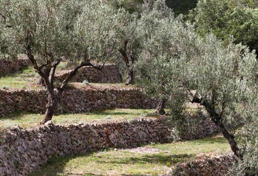 צימר Villa Foia Vella   Adults Only