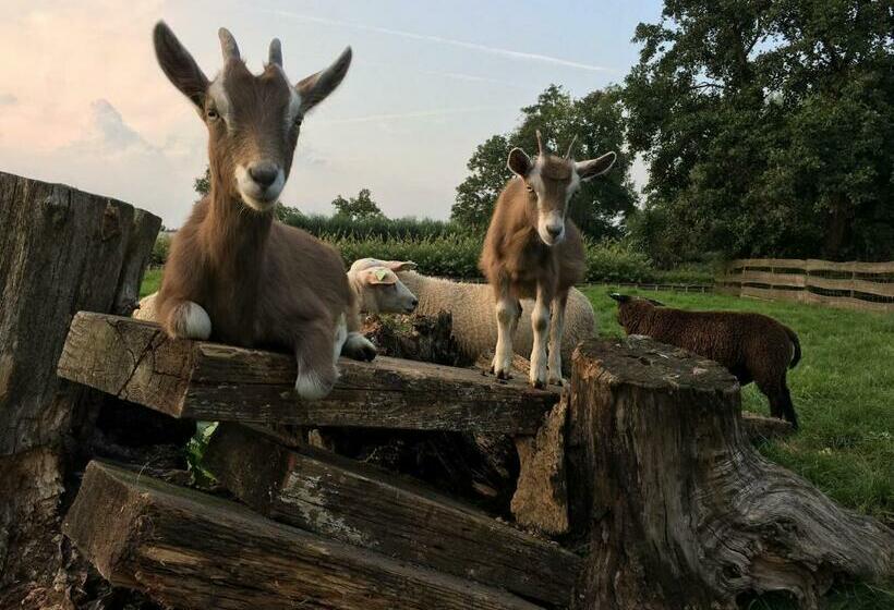 Bed & Breakfast Pax Tibi