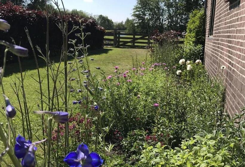 Bed & Breakfast Pax Tibi