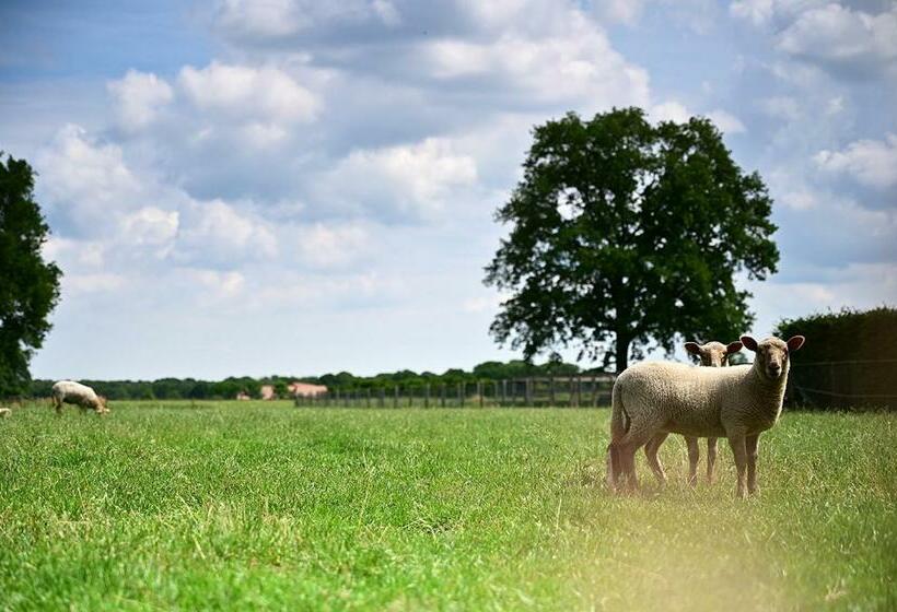 De Lakenvelder B&b Eersel