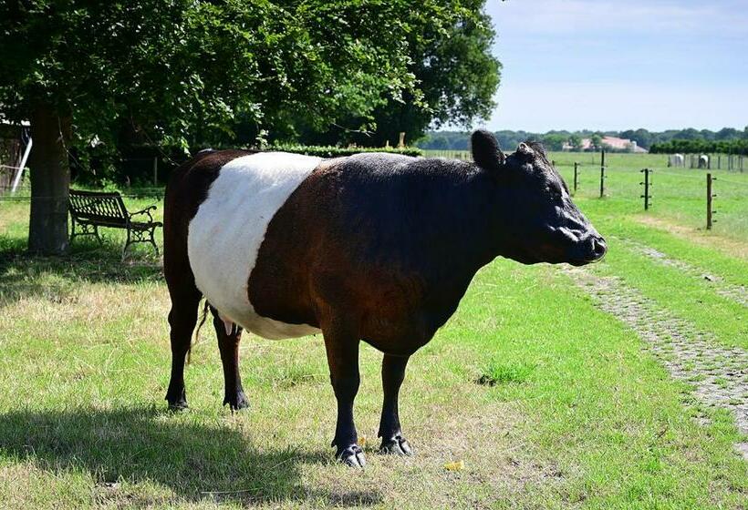 De Lakenvelder B&b Eersel