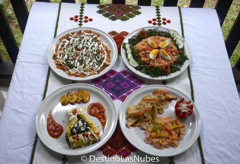 Отель Ciudad De Las Rocas