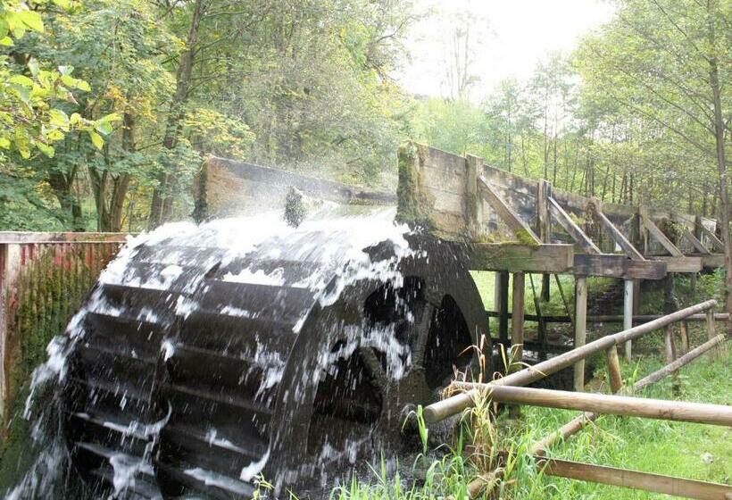 Отель Pension Mühle