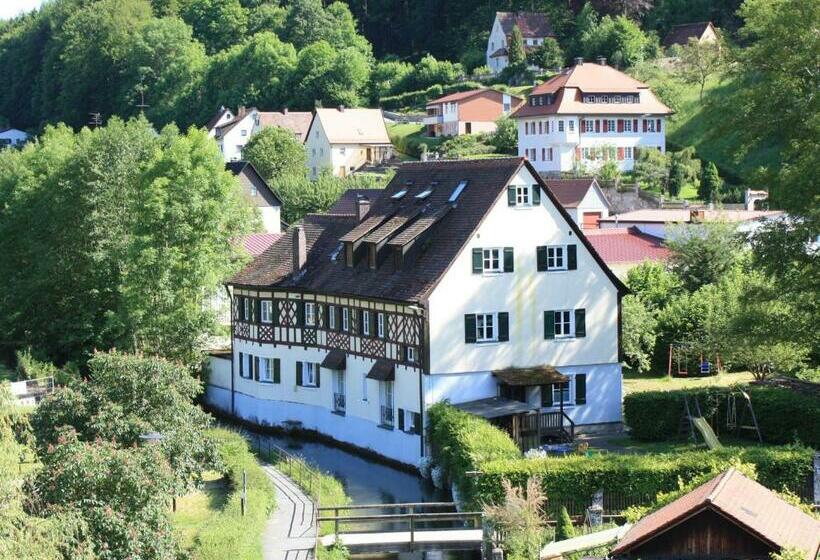 Отель Pension Mühle