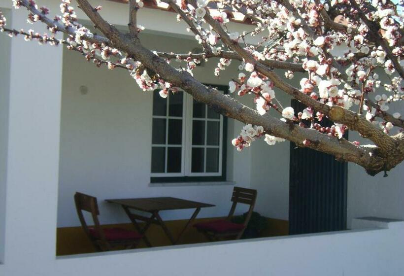 酒店 Tapada Da Beirã