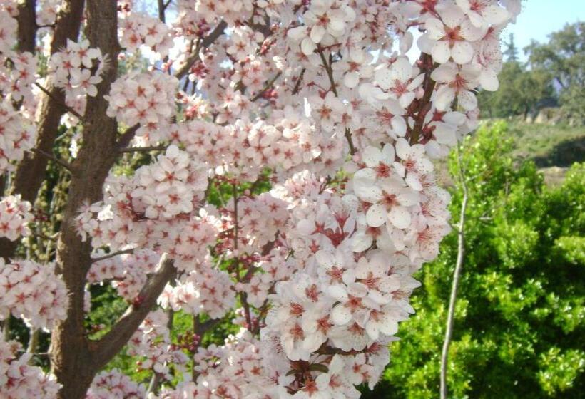 酒店 Tapada Da Beirã