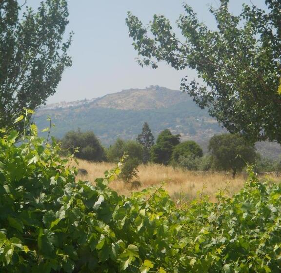 Отель Tapada Da Beirã