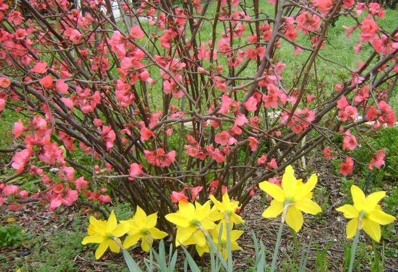 Отель Tapada Da Beirã