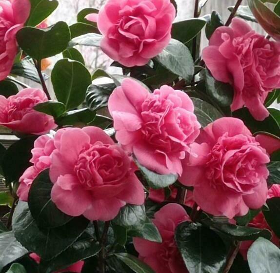 Le Domaine Des Ecoliers B&b