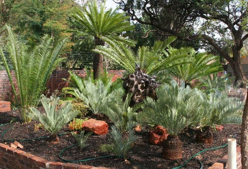 Oryx B&b Reserved Guests Only