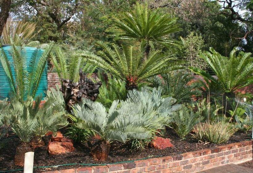 Oryx B&b Reserved Guests Only