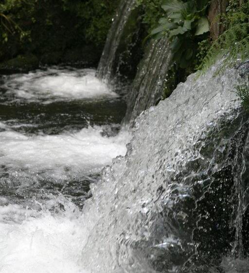 膳宿费 Aires Do Umia