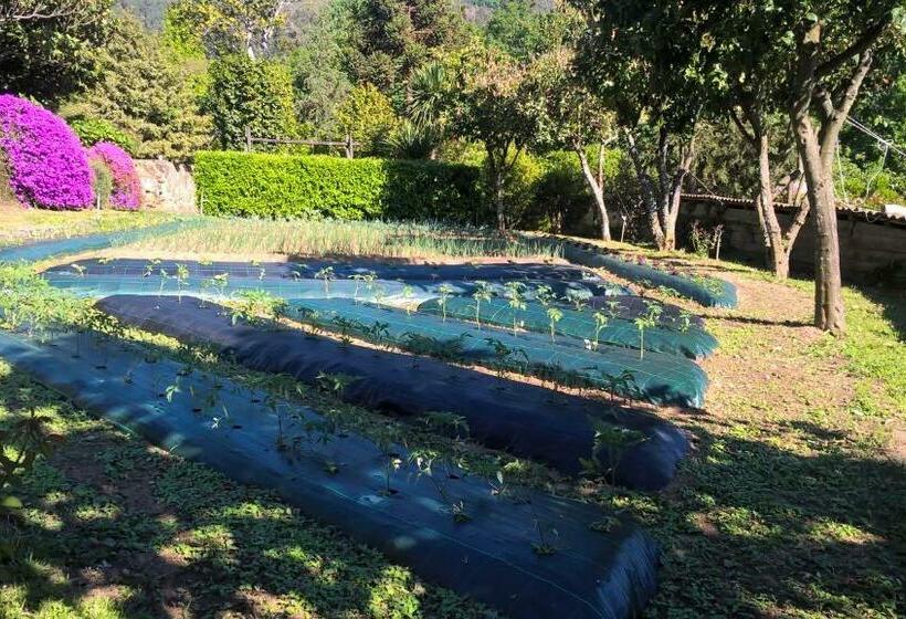 ペンション Casa Do Sobrado