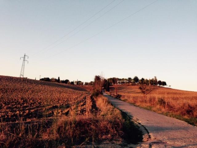 پانسیون Casa Lory Poggio Murella