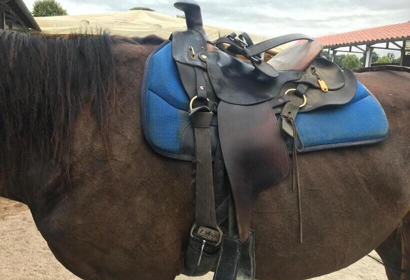 پانسیون Casa Lory Poggio Murella