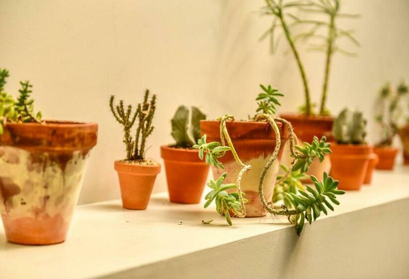 پانسیون Casa Melgar