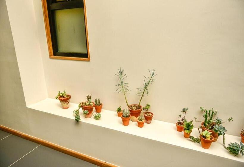 پانسیون Casa Melgar