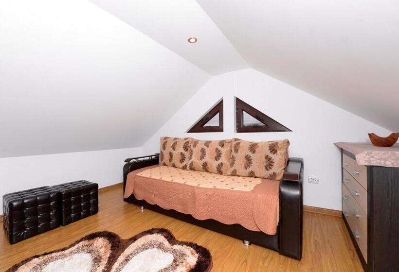 פנסיון Casa Teo&andreea