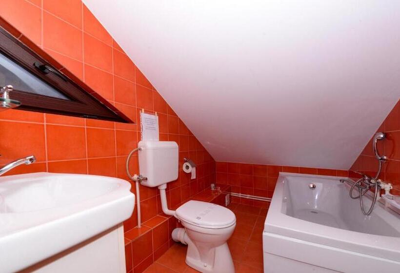 פנסיון Casa Teo&andreea