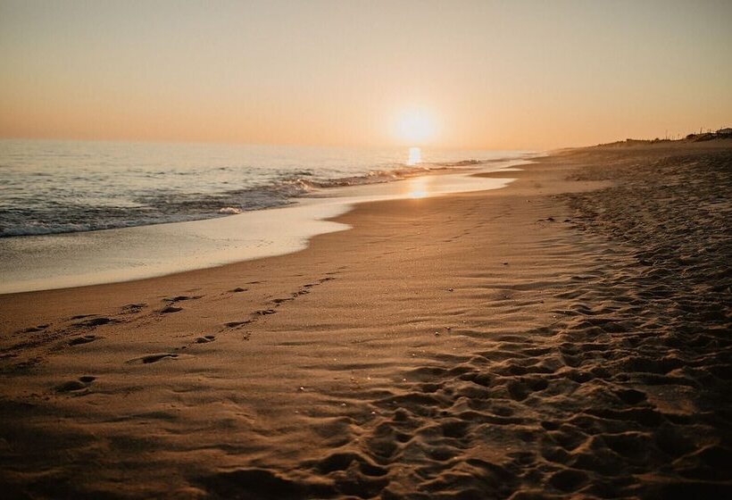 펜션 Faro Guest House