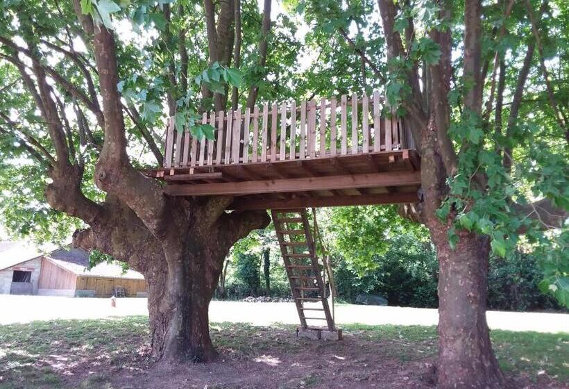 פנסיון Ferme Gribeshaoutes Maison D Hotes