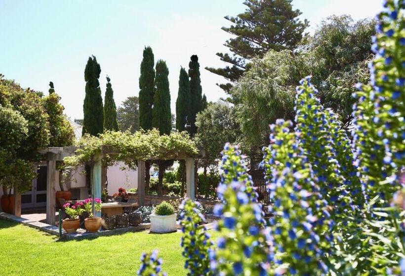 פנסיון Grey Masts, Robe