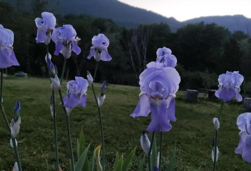 بنسيون La Casa Di Elena