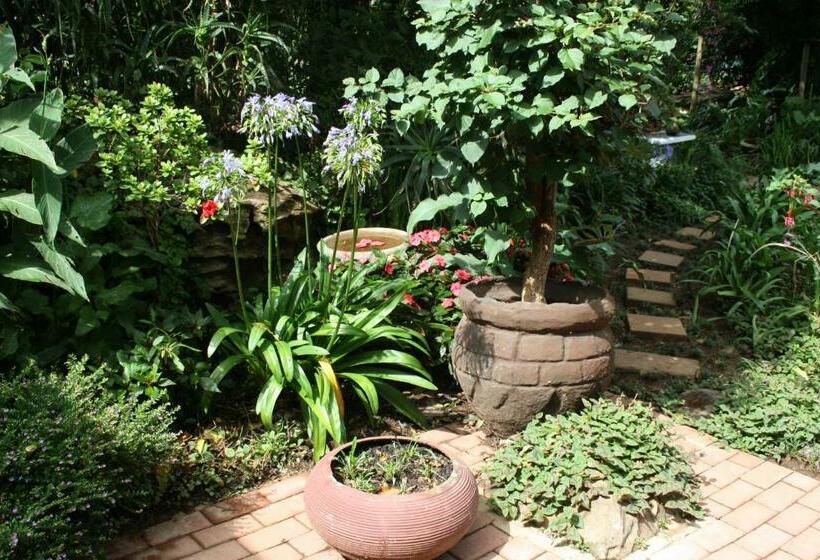 Пансион Panda S Guest Cottages