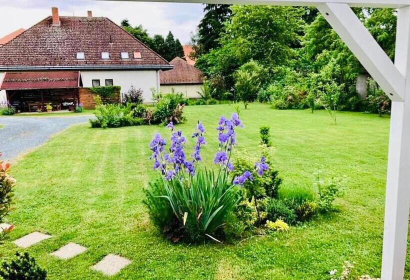 پانسیون Patika Vendeghaz