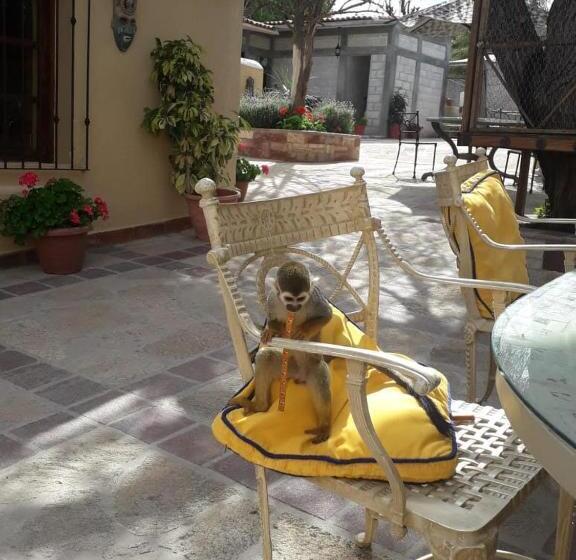 بنسيون Posada Las Reynas By Rotamundos