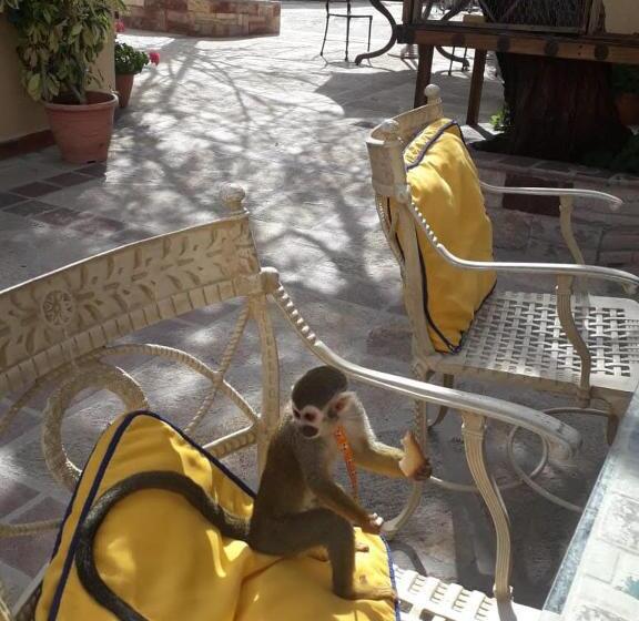 بنسيون Posada Las Reynas By Rotamundos