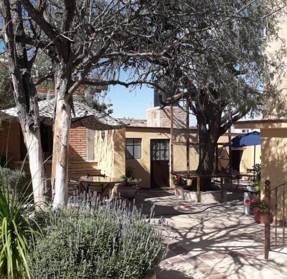 بنسيون Posada Las Reynas By Rotamundos