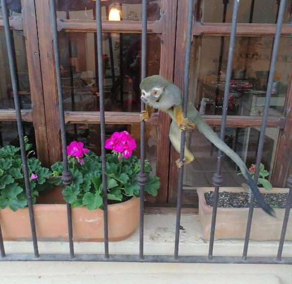 بنسيون Posada Las Reynas By Rotamundos