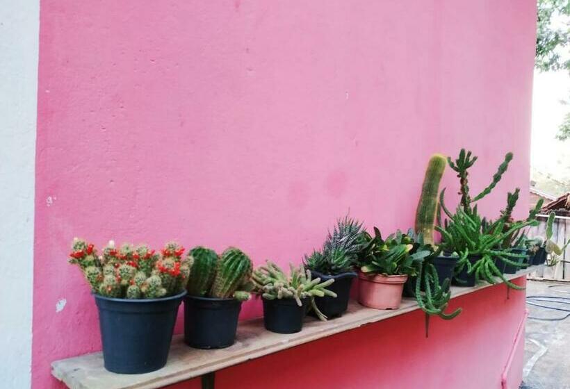 פנסיון Pousada Do Bar  Budo