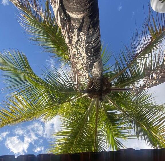 Пансион Palipalan Pousada